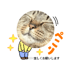 [LINEスタンプ] えりちんズニャンコ
