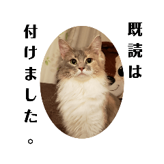 [LINEスタンプ] まりまろパラダイス3