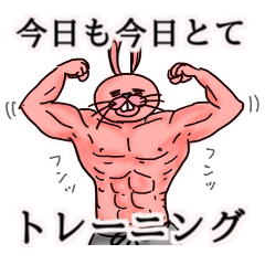 [LINEスタンプ] 筋トレーニーうさ雄の筋肉スタンプ