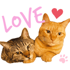 [LINEスタンプ] ておちゃい