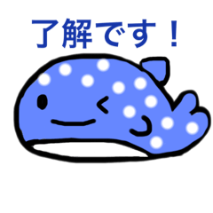 [LINEスタンプ] じんべえざめちゃん