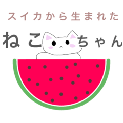 [LINEスタンプ] 夏に使いたいのにゃーのスタンプ2021