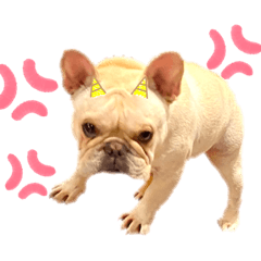 [LINEスタンプ] フレブルこたろうさん