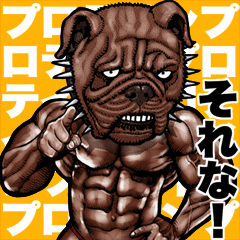 [LINEスタンプ] 筋肉マッチョアニマル Bigスタンプ