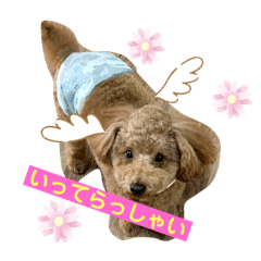 [LINEスタンプ] まだかなー