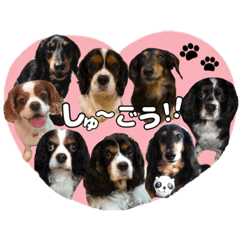 [LINEスタンプ] キャバックス❤︎エイト＆ポピー①