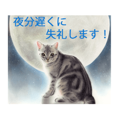 [LINEスタンプ] 目羅健嗣 猫アートコレクション 5