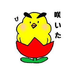 [LINEスタンプ] 太眉ぴよちゃん