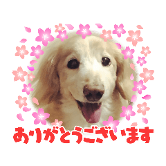 [LINEスタンプ] るーるくんだよ