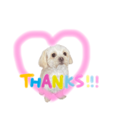 [LINEスタンプ] もこめる4