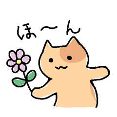 [LINEスタンプ] 無難にかわいい猫さんのスタンプの画像（メイン）