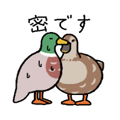 [LINEスタンプ] 無難にかわいい鳥さんのスタンプ-鴨編-2の画像（メイン）