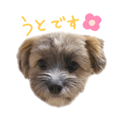 [LINEスタンプ] うとです。