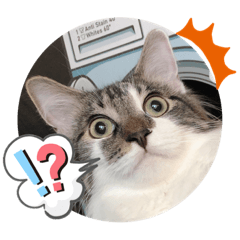 [LINEスタンプ] レアルとジョニー