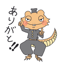 [LINEスタンプ] 愚直なフトアゴヒゲトカゲ、そらの日常。