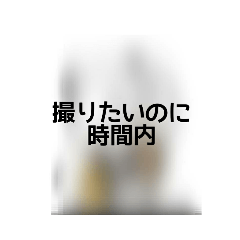 [LINEスタンプ] 撮り鉄誤字＆名言集3