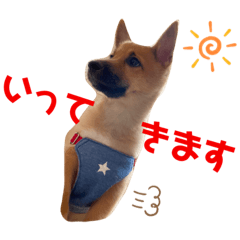 [LINEスタンプ] 雑種犬うめちゃん♡