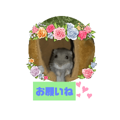 [LINEスタンプ] 葵くんとまるこの日常