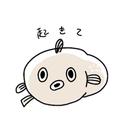 [LINEスタンプ] おはようこうたん