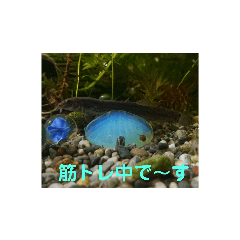 [LINEスタンプ] 写真を使って（28）