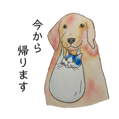 [LINEスタンプ] かもめのいぬねこスタンプ3