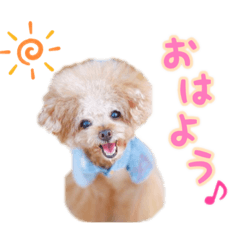 [LINEスタンプ] the N 〜ノエルくんのにこにこ☺︎スタンプ