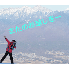 [LINEスタンプ] ダッシュするテリア達