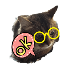 [LINEスタンプ] ニャンコの返事3