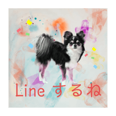 [LINEスタンプ] ワンちゃんとネコちゃんの写真スタンプ
