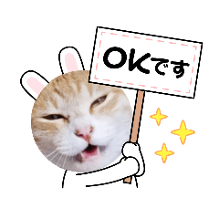 [LINEスタンプ] あーゆるきゃっと6