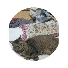 [LINEスタンプ] チャチャより