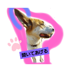 [LINEスタンプ] 保護犬しろっぷ