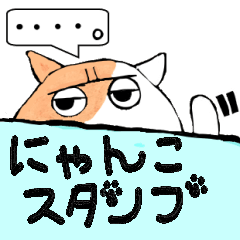 [LINEスタンプ] ふわふわ猫の日常会話