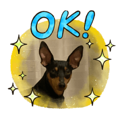 [LINEスタンプ] ミニピン癒しスタンプ2