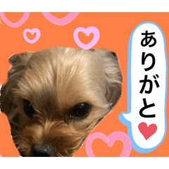 [LINEスタンプ] かわいい！ペロリンスタンプ第2弾！