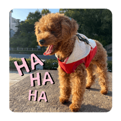 [LINEスタンプ] ロアロアpart2