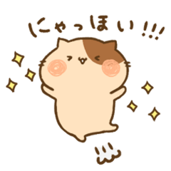 [LINEスタンプ] にゃんことにゃんたの日常【にゃん語ver.】