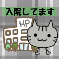 [LINEスタンプ] 患者さんスタンプ-にゃんき-