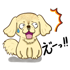 [LINEスタンプ] 365日ペキニーズ