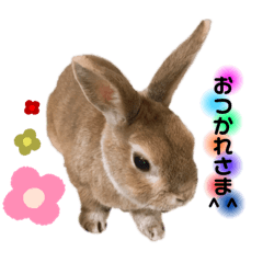 [LINEスタンプ] JOYちゃん♡