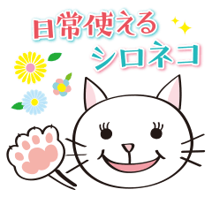 [LINEスタンプ] 日常使えるシロネコスタンプ