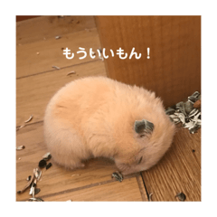 [LINEスタンプ] むんむんの日常2