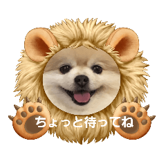 [LINEスタンプ] ポメポメスタンプ4