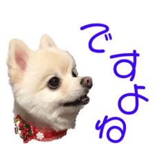 [LINEスタンプ] ポメポメみるく 日常『あいづち』