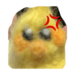 [LINEスタンプ] チビand鳥and猫