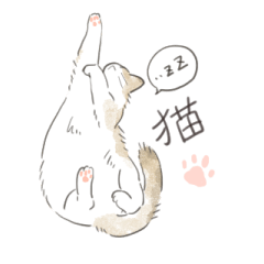 [LINEスタンプ] うちの兄妹猫