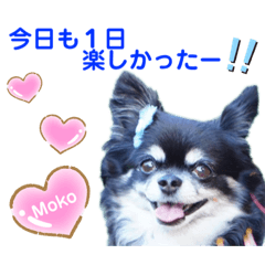 [LINEスタンプ] モコちゃんのかわいいスタンプ2