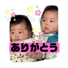 [LINEスタンプ] ナラファミリー37