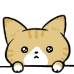 [LINEスタンプ] 楽しくてかわいい猫たち