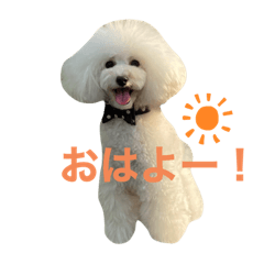 [LINEスタンプ] アビー スタンプ